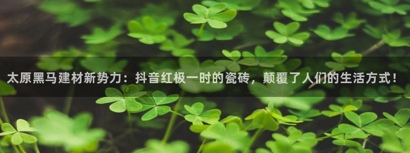 杏鑫平台念7O777