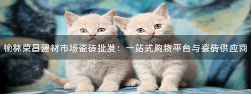 杏鑫娱乐官方网站客户端