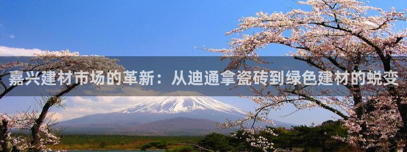杏鑫平台念7O777