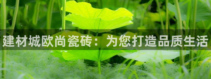 杏鑫平台代理怎么样赚钱
