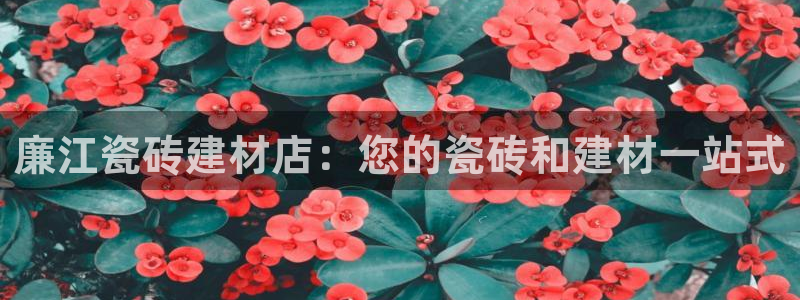 杏鑫平台代理