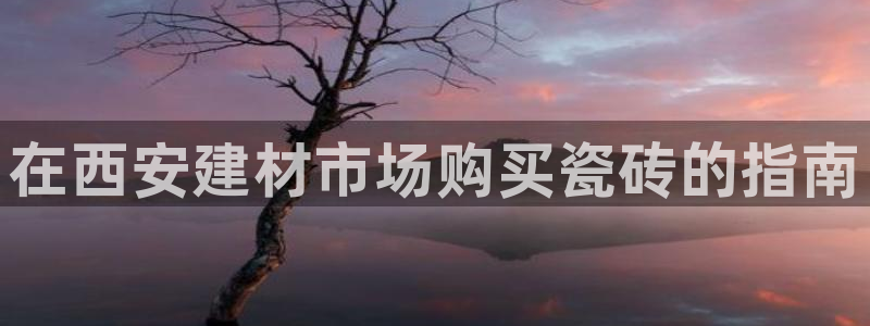 杏鑫平台在线注册