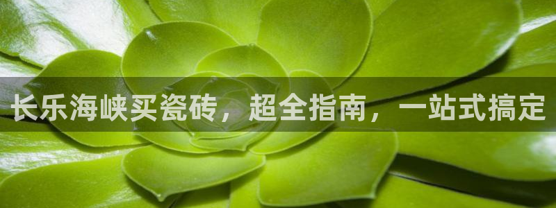 杏鑫平台代理怎么样