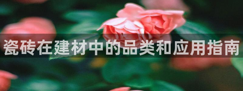 杏鑫平台在线注册流程