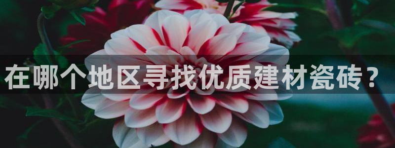 杏鑫平台注册登录