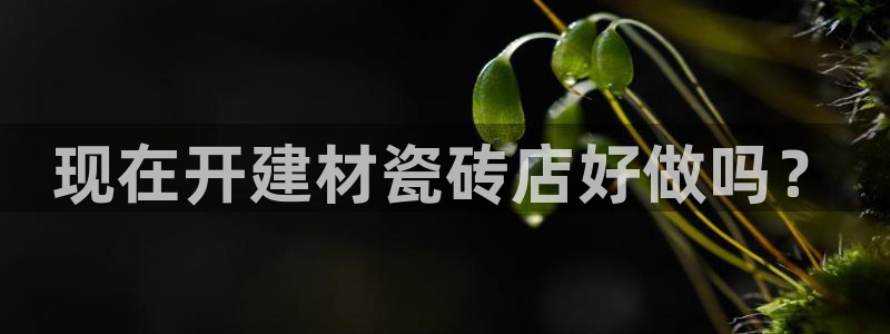 杏鑫平台招商电话号码查询