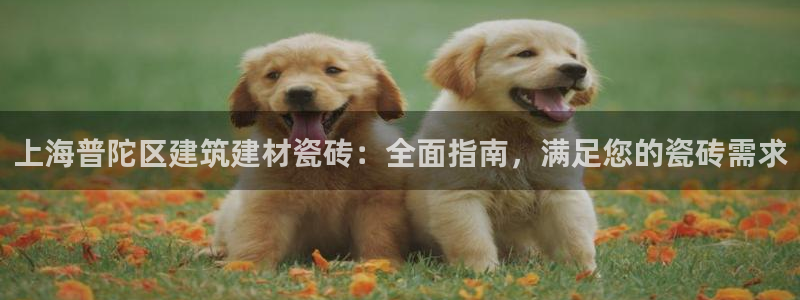 杏鑫平台登录地址在哪