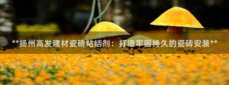 杏鑫平台注册地址