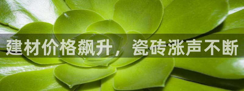 杏鑫平台登录地址是什么