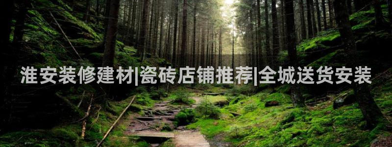 杏鑫平台注册地址