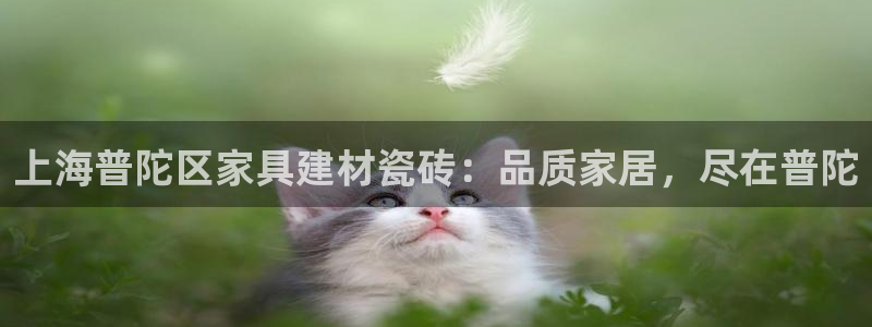 杏鑫官方平台怎么样啊知乎