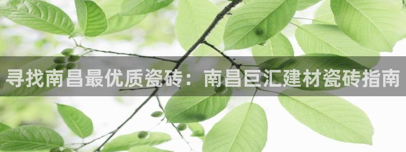 杏鑫娱乐官方网站客户端登录