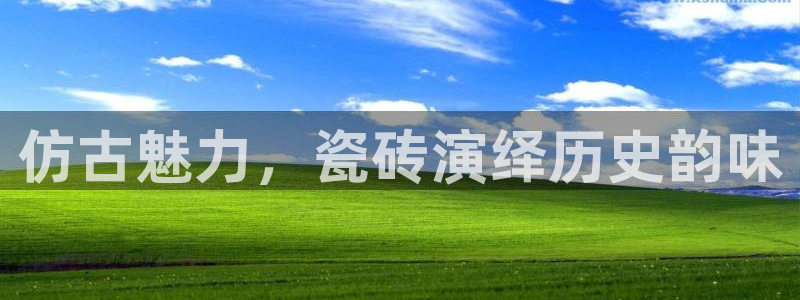 杏鑫平台直属哪个公司