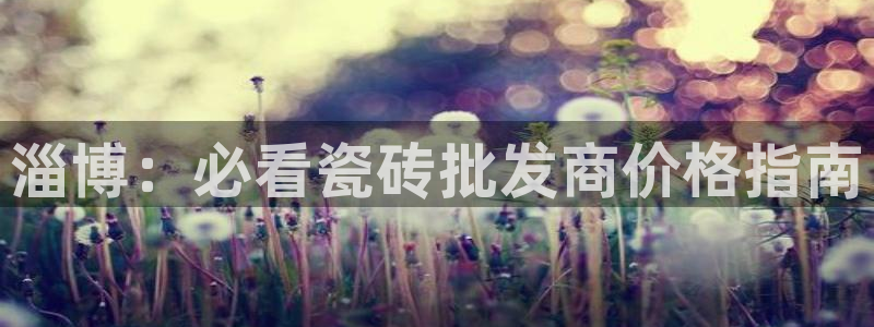 杏鑫官方平台怎么样啊知乎