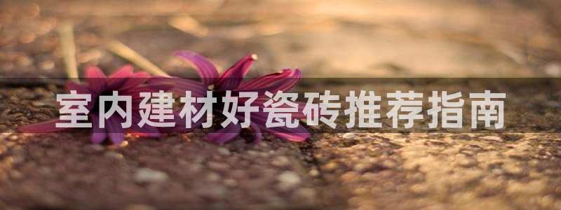 杏鑫官网最新信息新闻报道