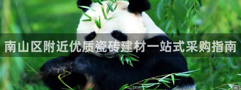 杏鑫娱乐平台登录