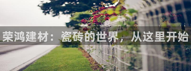 杏鑫官网注册账号是什么意思