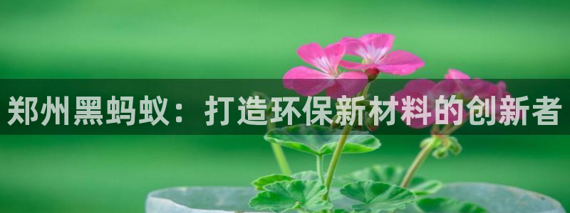 杏鑫平台代理注册