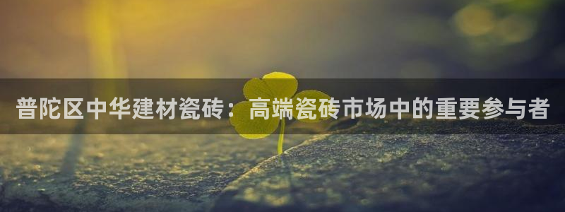 杏鑫平台代理注册流程