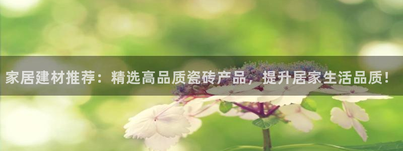 杏鑫平台代理注册多少钱啊