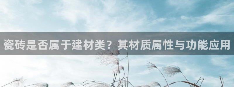 杏鑫平台代理怎么样