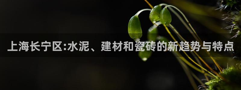 杏鑫平台注册网址查询