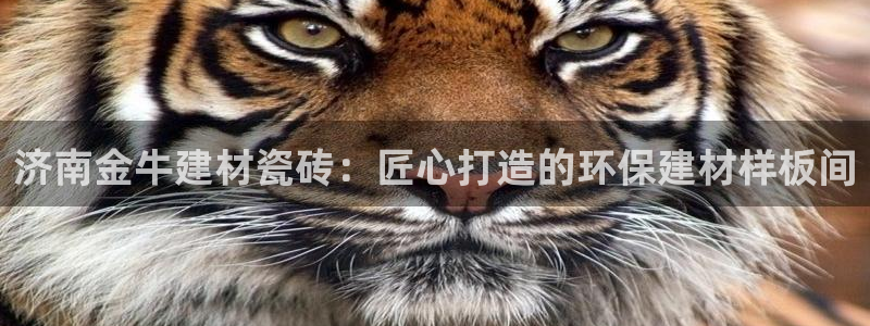 杏鑫平台登录地址是什么