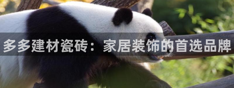 杏鑫平台野马联盟