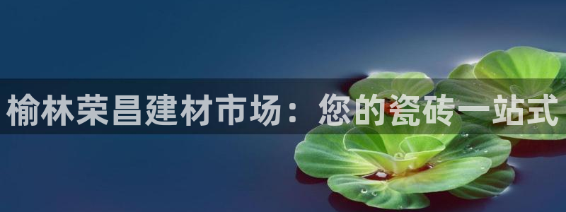 杏鑫平台登录地址是什么