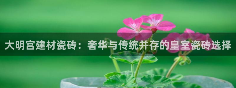 杏鑫平台代理注册多少钱一年