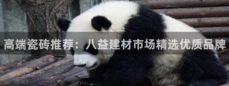 杏鑫平台怎么样