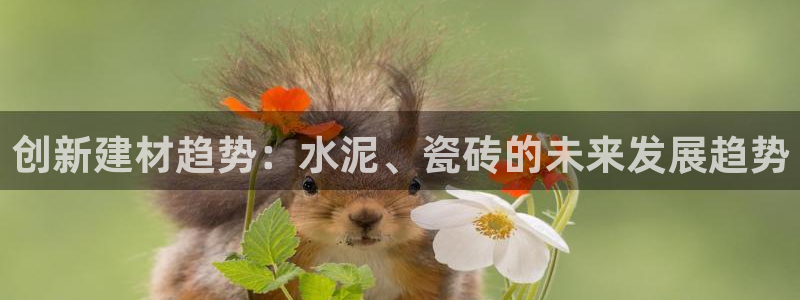 杏鑫娱乐是合法的吗是真的吗