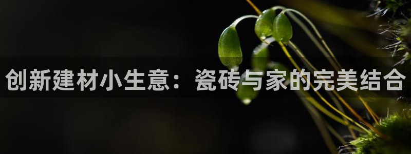 杏鑫代理注册平台