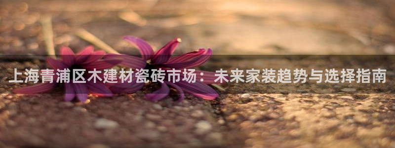 杏鑫平台代理怎么样赚钱