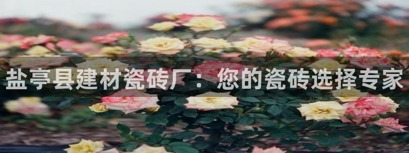 杏鑫官网注册账号是什么