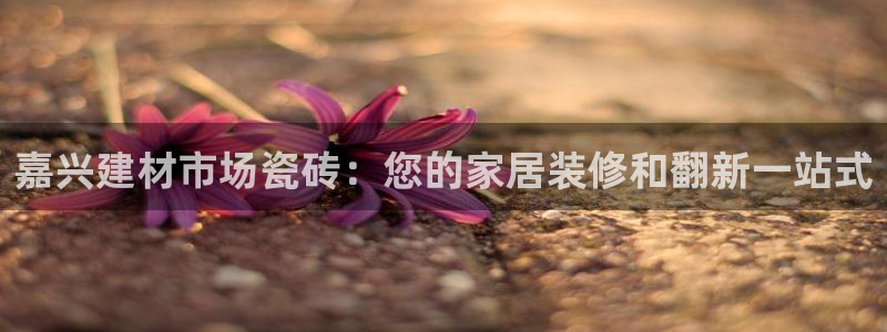 杏鑫平台代理注册要钱吗