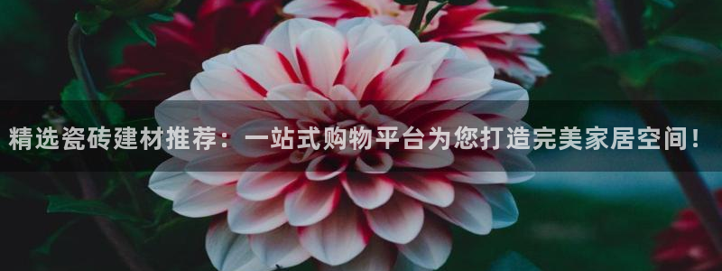 杏鑫平台代理注册