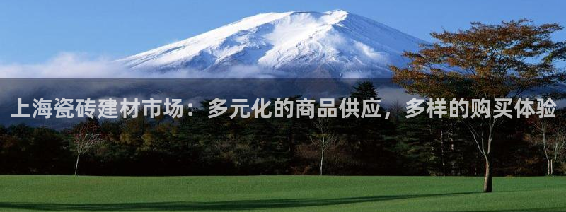 杏鑫平台代理注册登录不了怎么办呀苹果