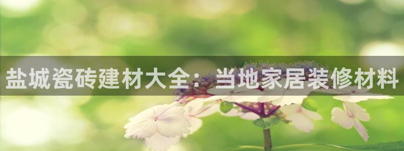 杏鑫官方平台怎么样啊知乎