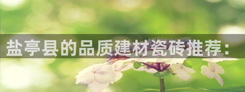 杏鑫平台注册入口在哪里找