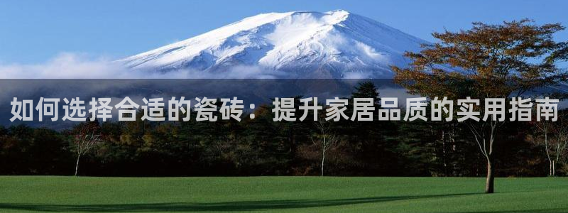 杏鑫娱乐平台测速