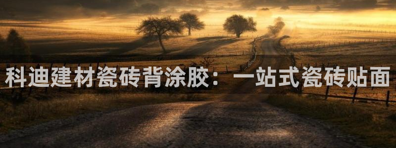 杏鑫平台注册地址