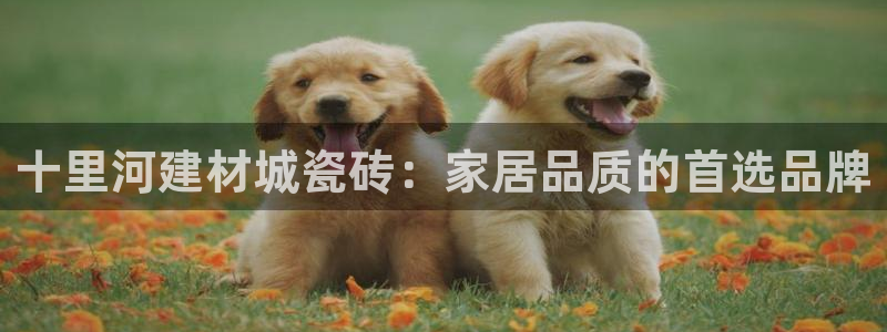 杏鑫平台招商怎么样啊