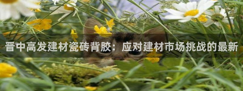 杏鑫平台怎么样黑钱吗是真的吗