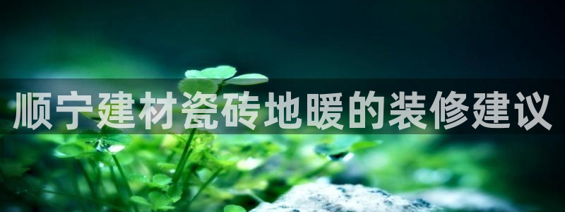 杏鑫平台代理注册