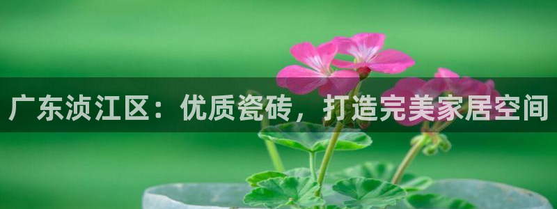 杏鑫注册平台官方网站下载