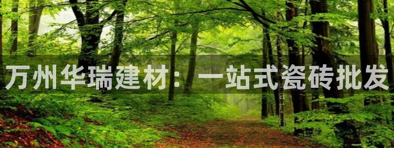 杏鑫注册登录平台是什么