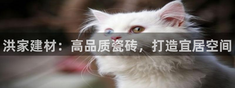 杏鑫代理注册登录